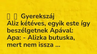 Vicces történet: 
	    	    Gyerekszáj


Aliz kétéves, egyik este így beszélgetnek …