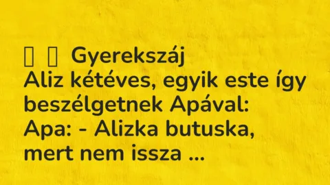 Vicces történet: 
	    	    Gyerekszáj


Aliz kétéves, egyik este így beszélgetnek …