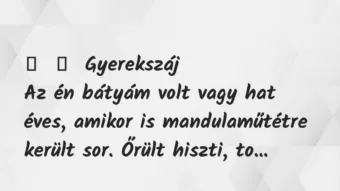 Vicces történet: 
	    	    Gyerekszáj


Az én bátyám volt vagy hat éves, amikor is…