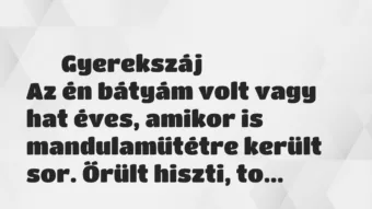 Vicces történet: 
	    	    Gyerekszáj


Az én bátyám volt vagy hat éves, amikor is…