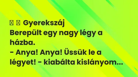 Vicces történet: 
	    	    Gyerekszáj


Berepült egy nagy légy a házba.


-…