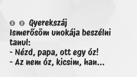 Vicces történet: 
	    	    Gyerekszáj


Ismerősöm unokája beszélni tanul:


– …