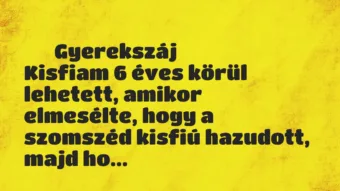 Vicces történet: 
	    	    Gyerekszáj


Kisfiam 6 éves körül lehetett, amikor…