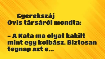 Vicces történet: 
	    	    Gyerekszáj


Ovis társáról mondta:





– A…