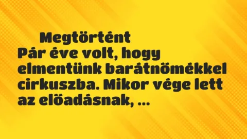 Vicces történet: 
	    	    Megtörtént


Pár éve volt, hogy elmentünk barátnőmékkel…