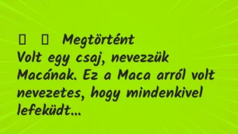 Vicces történet: 
	    	    Megtörtént


Volt egy csaj, nevezzük Macának. Ez a Maca…