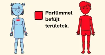 13 tipikus ‘férfidolog’, amit sosem fognak megérteni a nők 13 férfias hozzáállás, amit a nők soha nem foghatnak fel