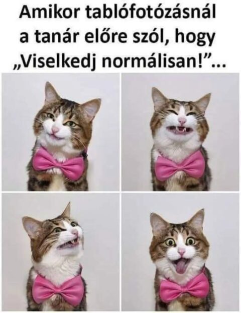 #VK1778380206
