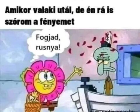 #VK1778834042