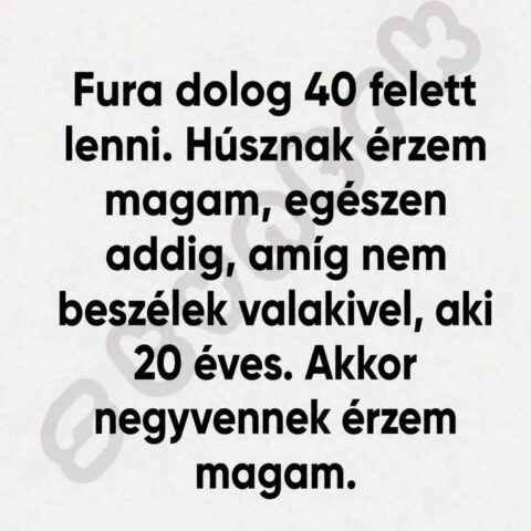 #VK1779093243
