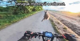 #VK1779201484 #VK1779201484