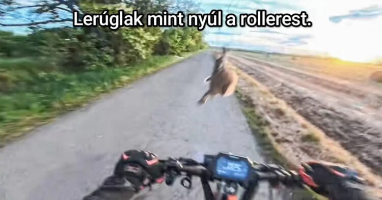 #VK1779201484 #VK1779201484