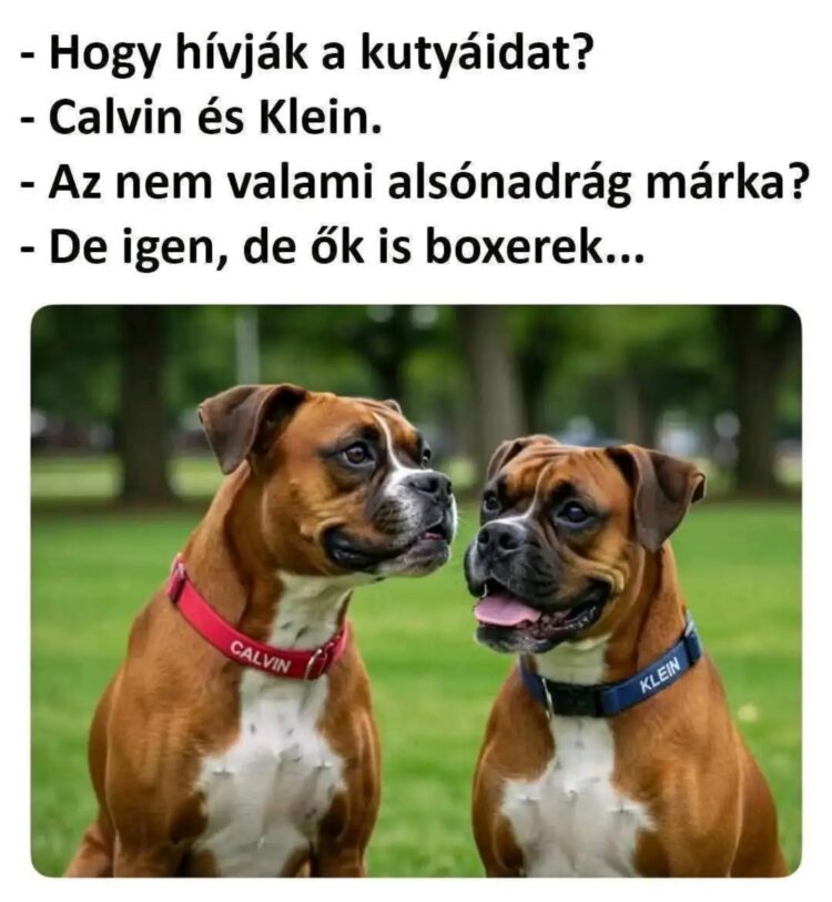#VK1779676206 #VK1779676206