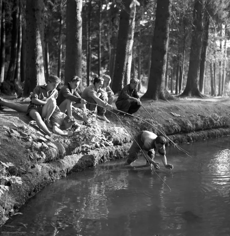 1955. Bükkszentkereszt, az újhutai tó partján. Vadas Ernő felvétele #RK1779962423 1955. Bükkszentkereszt, az újhutai tó partján.
Vadas Ernő felvétele
#RK1779962423