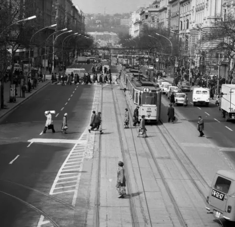 1979.  Bp., Szent István körút.
FORTEPAN
 #RK1778850037