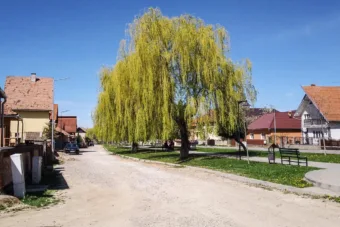 Borongós nappal, záporos este – ezt hozza az időjárás május 8.