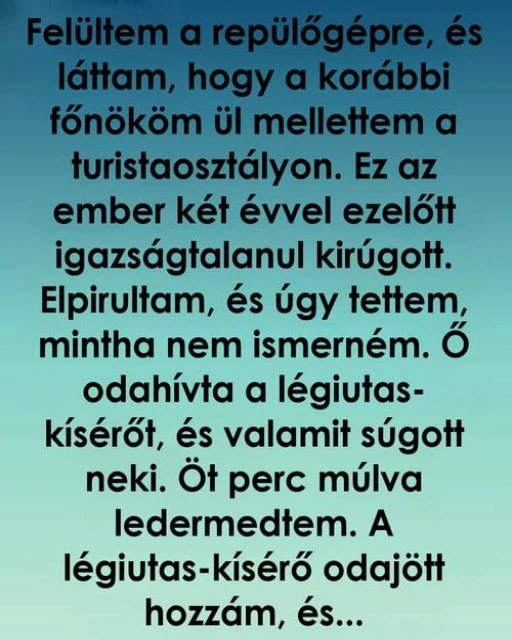 Kirúgott a főnököm, két évvel később egy repülőúton megváltoztatta az...