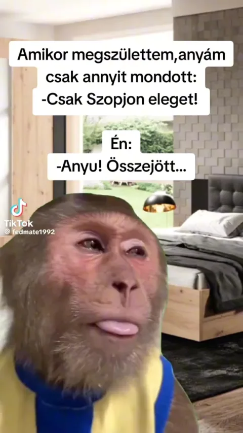 #VK