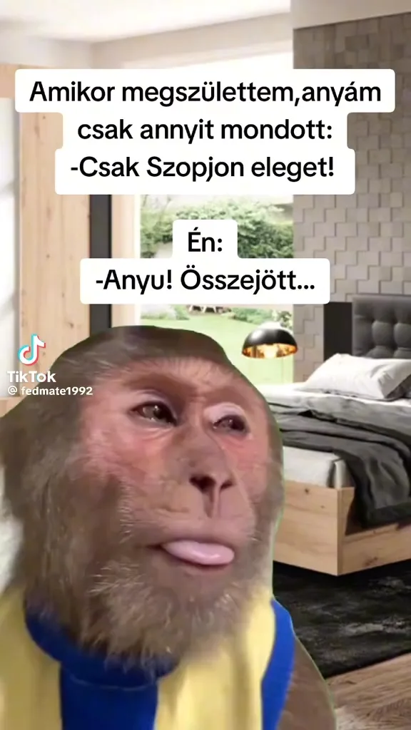 #VK #VK
