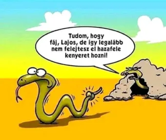 #VK1777581973