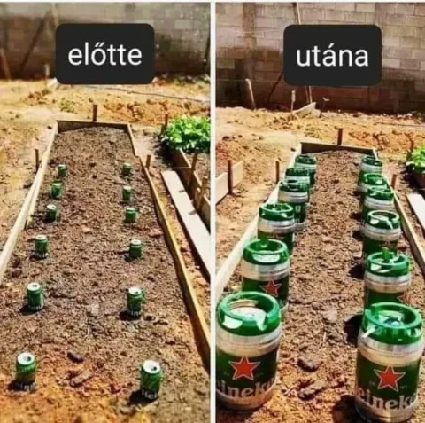 #VK1777759224