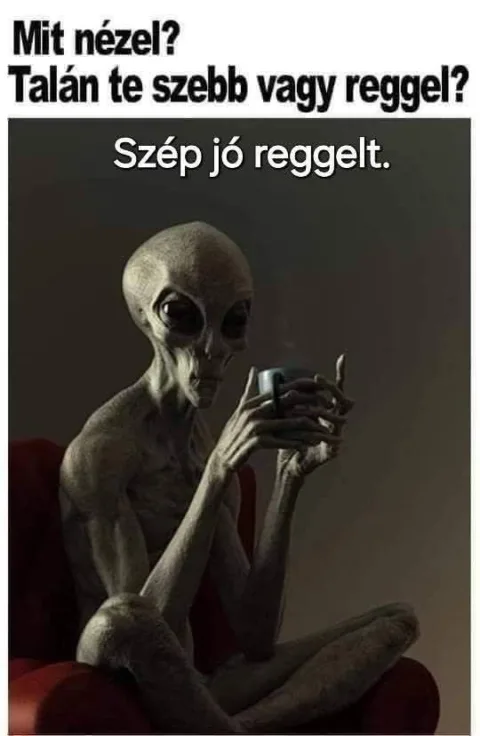 #VK1777872352