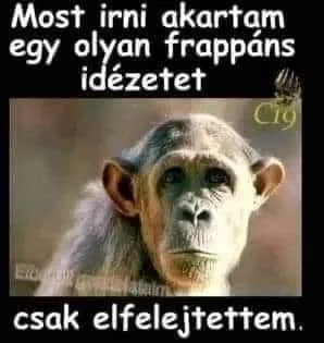 #VK1777961822