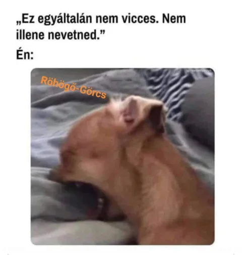 #VK1777978070