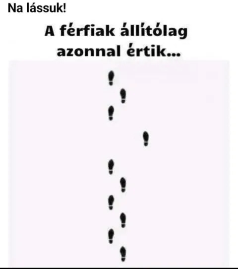 #VK1778015504