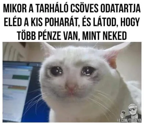 #VK1778062407