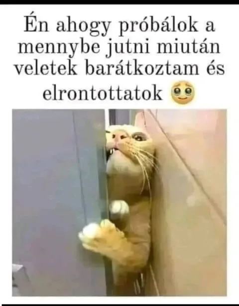 #VK1778421215
