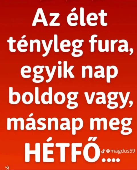 #VK1778427065