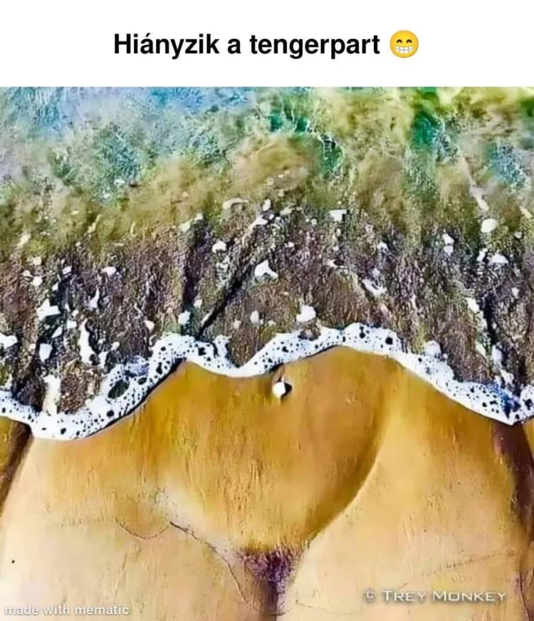 #VK1778585586 #VK1778585586