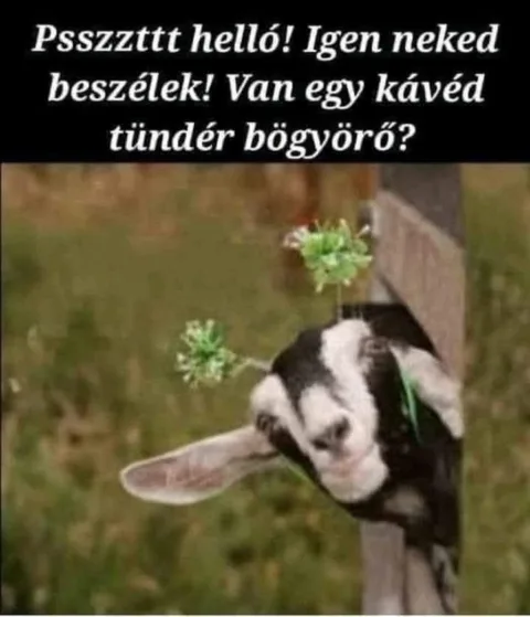 #VK1778902901
