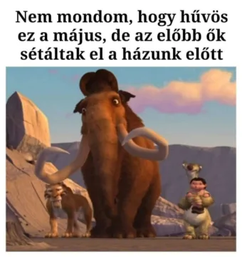 #VK1779038558