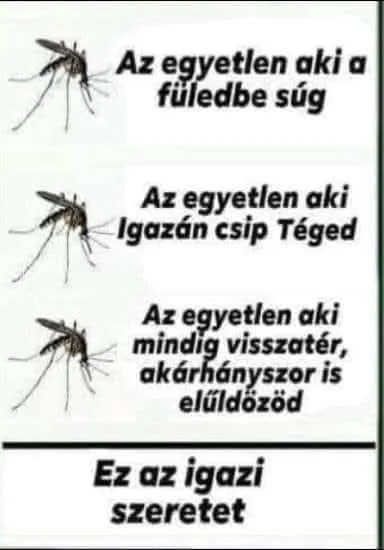 #VK1779107188 #VK1779107188