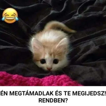 #VK1779425679 #VK1779425679