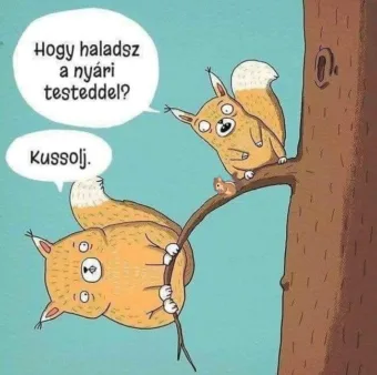 #VK1779453676 #VK1779453676