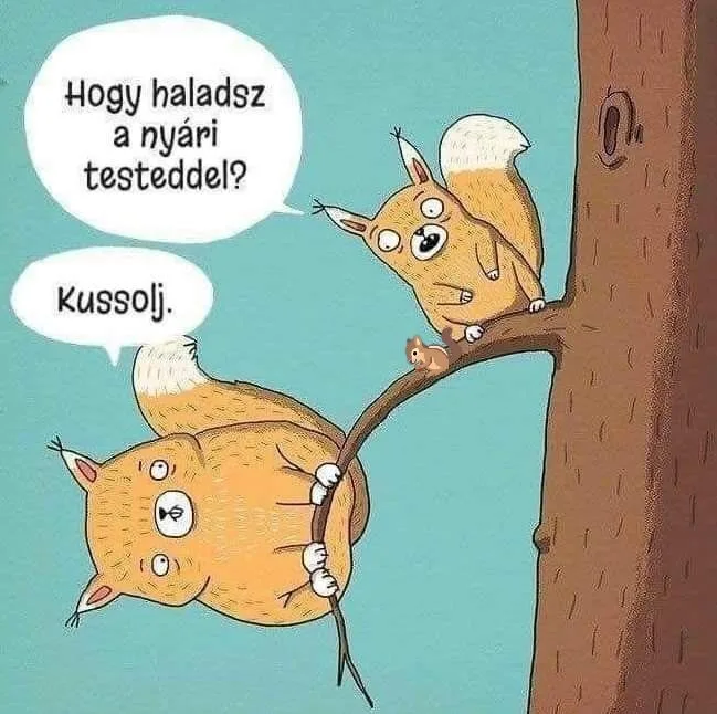 #VK1779453676 #VK1779453676
