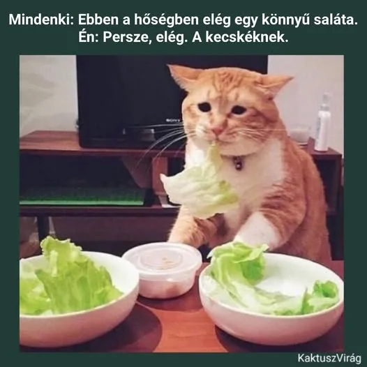 #VK1779738489 #VK1779738489