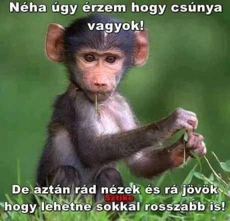 #VK1779856634