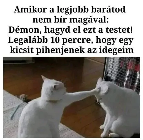 #VK1780061271