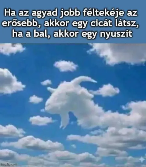 #VK1780117421
