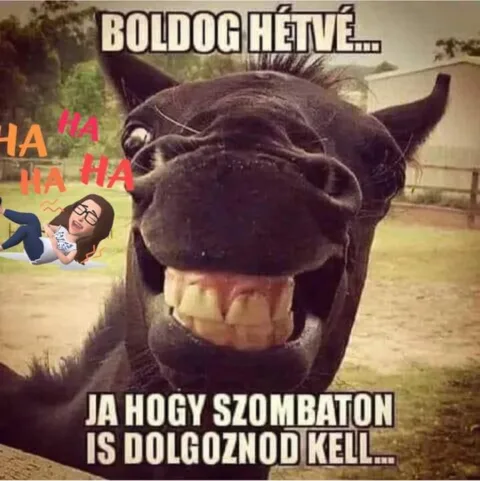 Boldog hétvé... Ja hogy szombaton is dolgoznod kell...