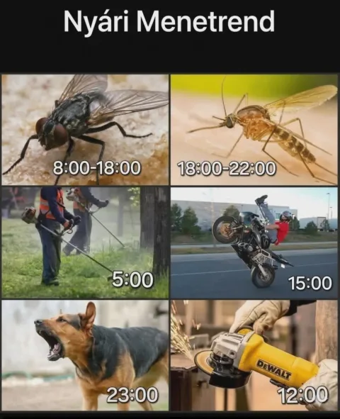 #VK1780118629