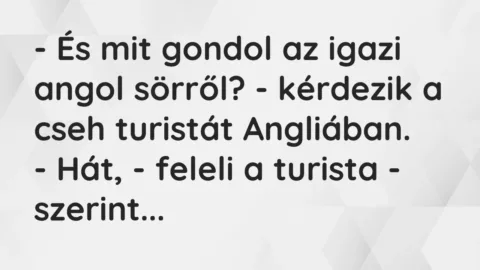 Vicc: – És mit gondol az igazi angol sörről? – kérdezik a cseh…