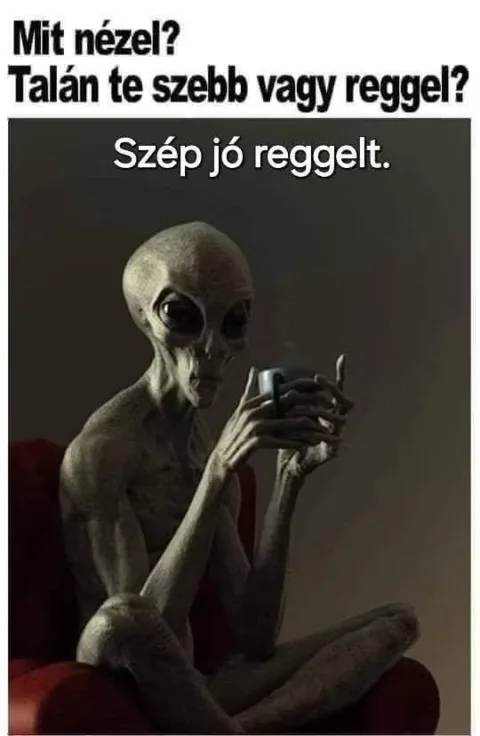Vicc: #VK1777872352