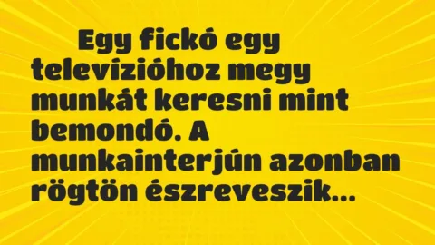 Vicc: Viccek:      Egy fickó egy televízióhoz megy munkát keresni…