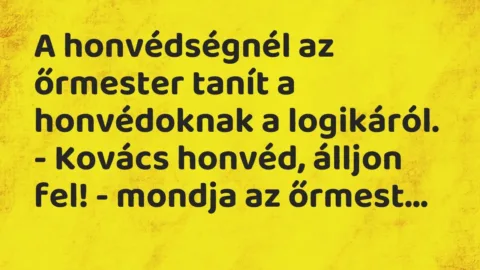 A honvédségnél az őrmester tanít a honvédoknak a logikáról.

-… – Vicc