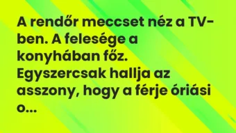A rendőr meccset néz a TV- ben. A felesége a konyhában főz…. – Vicc